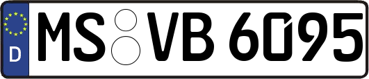 MS-VB6095