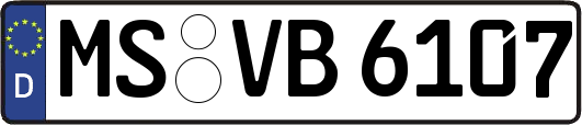 MS-VB6107