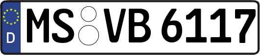 MS-VB6117