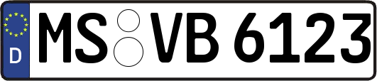 MS-VB6123