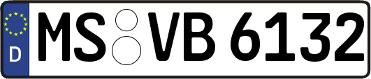MS-VB6132