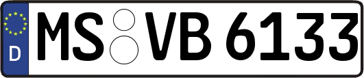 MS-VB6133