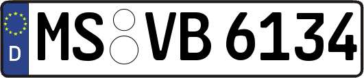 MS-VB6134