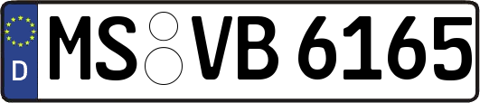 MS-VB6165