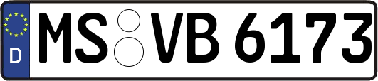 MS-VB6173