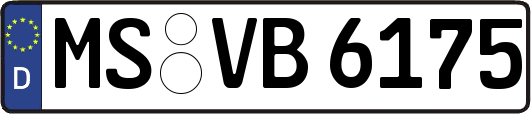 MS-VB6175