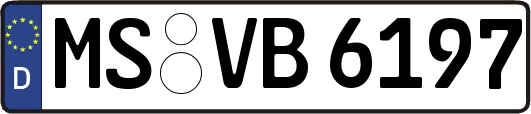 MS-VB6197