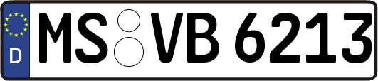 MS-VB6213