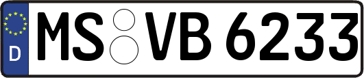 MS-VB6233