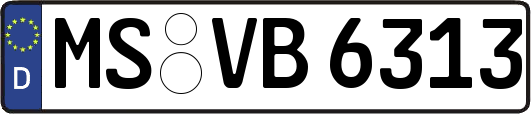 MS-VB6313