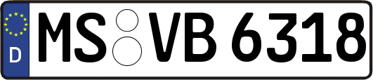 MS-VB6318