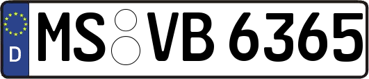 MS-VB6365