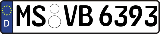 MS-VB6393