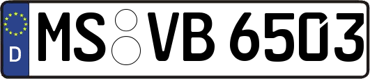 MS-VB6503
