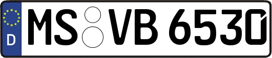 MS-VB6530