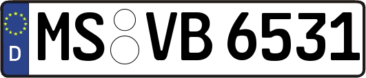 MS-VB6531