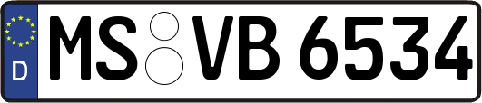 MS-VB6534
