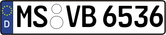 MS-VB6536
