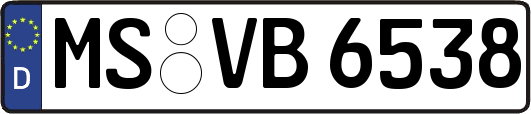 MS-VB6538