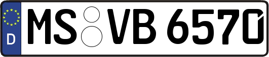 MS-VB6570