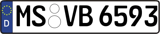 MS-VB6593