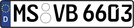 MS-VB6603