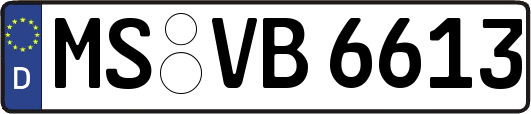 MS-VB6613
