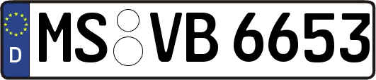 MS-VB6653