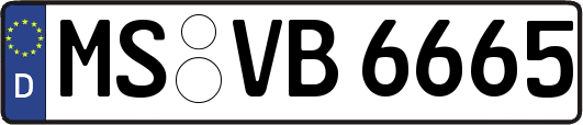 MS-VB6665