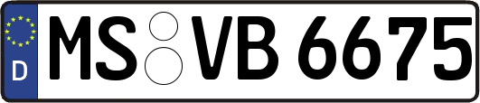 MS-VB6675