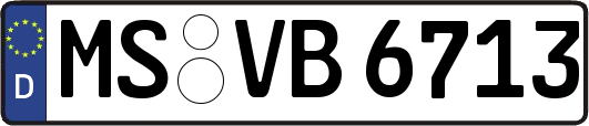 MS-VB6713