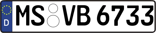 MS-VB6733