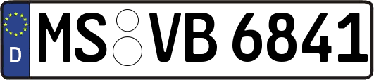 MS-VB6841