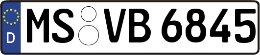 MS-VB6845