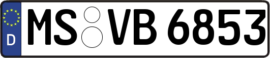 MS-VB6853