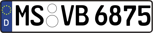 MS-VB6875