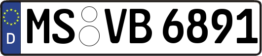 MS-VB6891