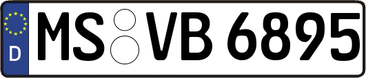 MS-VB6895
