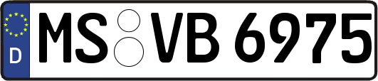 MS-VB6975