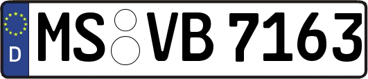 MS-VB7163