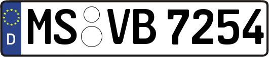 MS-VB7254