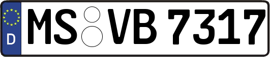 MS-VB7317