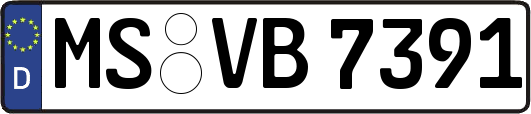 MS-VB7391