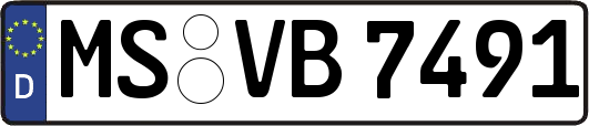 MS-VB7491