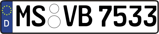 MS-VB7533