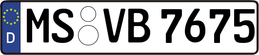 MS-VB7675