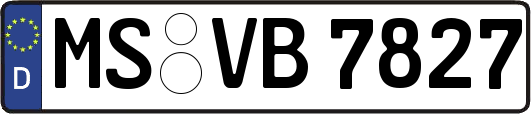 MS-VB7827