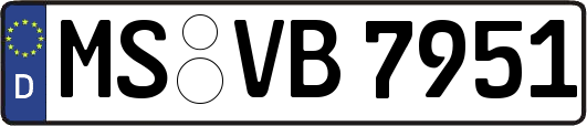 MS-VB7951