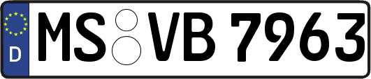 MS-VB7963