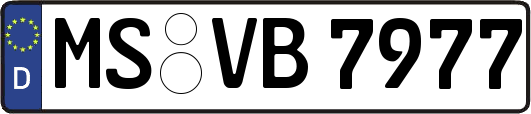 MS-VB7977
